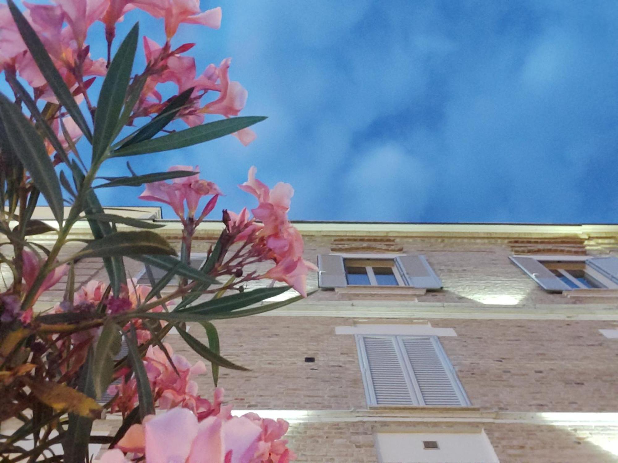 Villa Contessina Cossignano Экстерьер фото